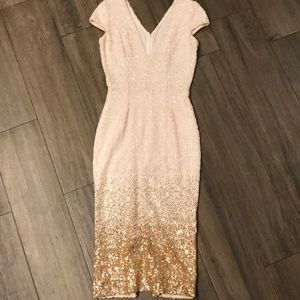 Dress The Population sequin midi dress!